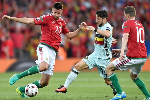  法甲焦点战：雷恩 VS 图卢兹，赛前情报深度剖析